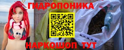 шишки Краснокаменск