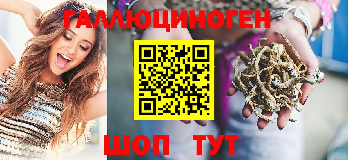 Псилоцибиновые грибы Cubensis Железногорск